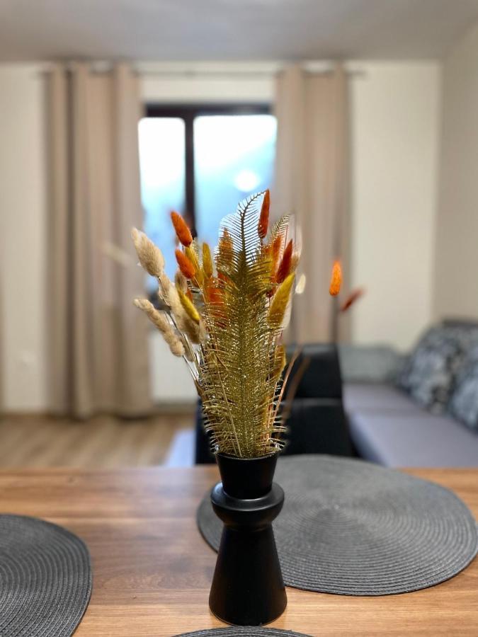 Apartment E23 Borovets Gardens المظهر الخارجي الصورة
